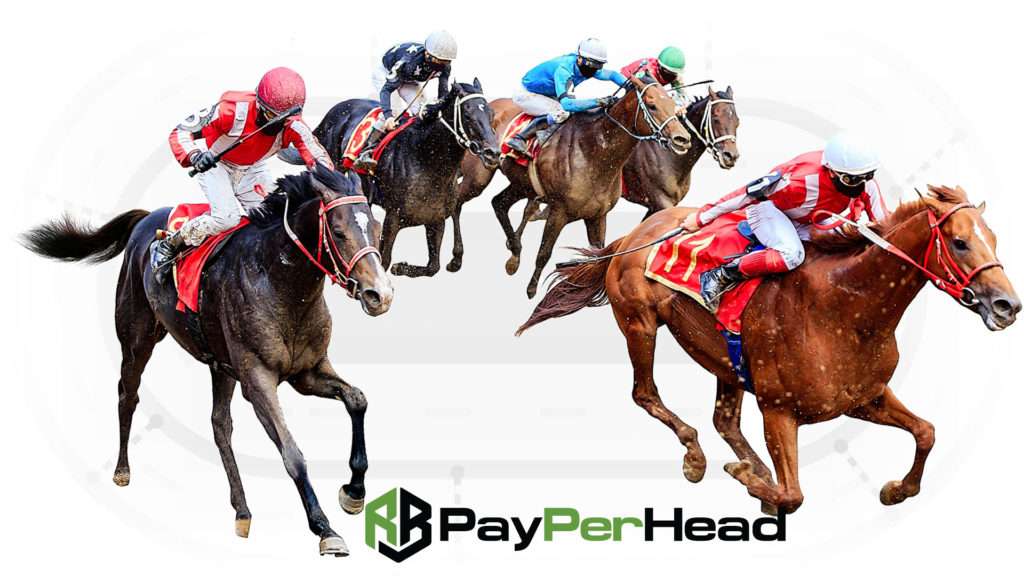 horses running